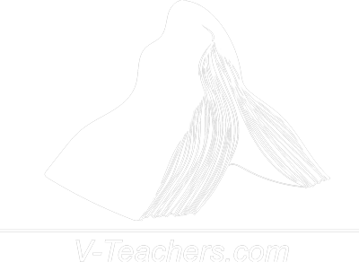 V-Teachers